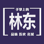 掌上林东ico