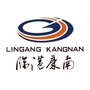 临港康南ico