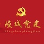 陵城党建ico