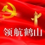 领航鹤山ico
