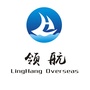 珠海领航劳务公众号ico