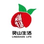 灵山生活ico
