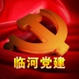 临河党建ico