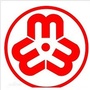 临河区妇联ico