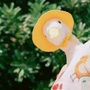 临江生活ico