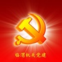 临渭机关党建ico