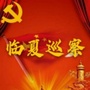临夏巡察ico