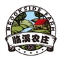 临溪农庄ico