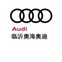 临沂奥海奥迪ico