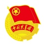 青春临沂ico