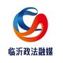临沂政法ico