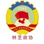 林芝政协ico