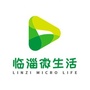 发现临淄公众号ico