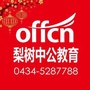 梨树中公教育ico