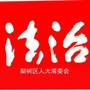 梨树人大ico