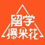 留学爆米花ico