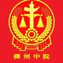 龙城法苑ico