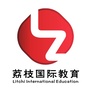 荔枝国际课程ico