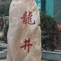 西部龙井ico