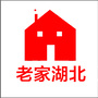 老家湖北公众号ico