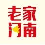 老家河南网ico