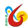 柳江绩效ico