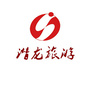 庐江潜龙旅行社ico