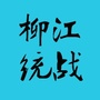 柳江统战ico