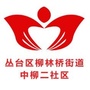柳林桥街道中柳二社区ico