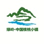 绿岭核桃小镇ico