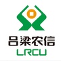 吕梁农信ico