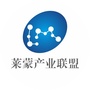 莱蒙产业联盟ico