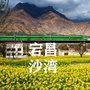 陇南宕昌沙湾镇ico