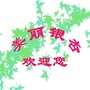 陇南徽县银杏树镇ico