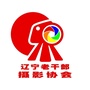 辽宁老干部摄影协会 s公众号ico