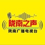 陇南之声ico