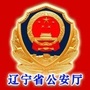 平安辽宁ico