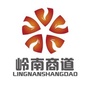 岭南商道ico