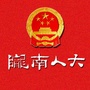 陇南人大ico