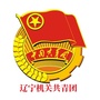 辽宁机关共青团ico