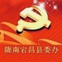 陇南宕昌县委办ico