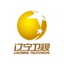 辽宁卫视公众号ico