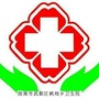 陇南市武都区枫相乡卫生院ico