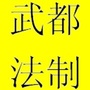 陇南武都法制ico