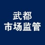 武都市场监管ico