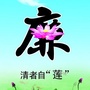 清风武都ico