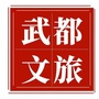 武都文旅之声ico