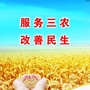 陇南武都区委农办ico