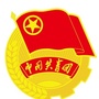 陇南武都团委ico