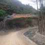 陇南武都区月照乡ico